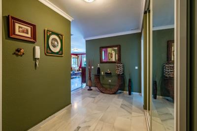 5-3595ad71cbd87be6c3643a4285ef4791