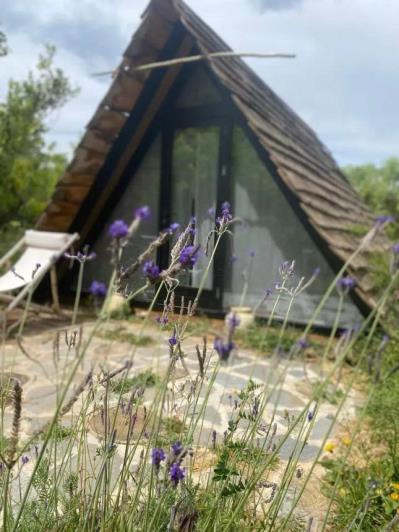 Image No.17-Finca de 8 chambres à vendre à Monda