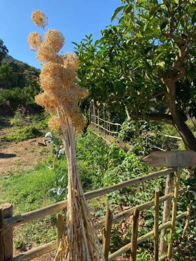 Image No.21-Finca de 8 chambres à vendre à Monda