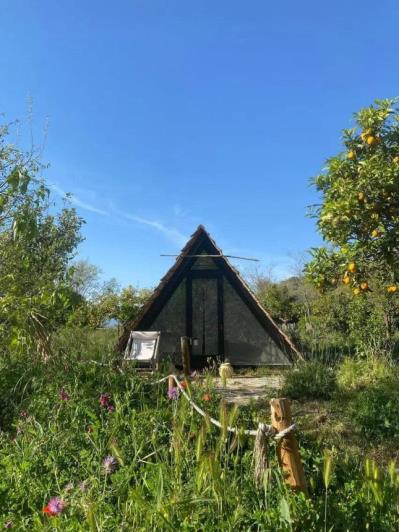 Image No.22-Finca de 8 chambres à vendre à Monda