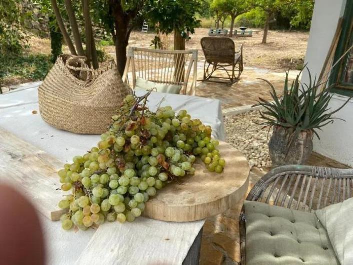 Image No.23-Finca de 8 chambres à vendre à Monda