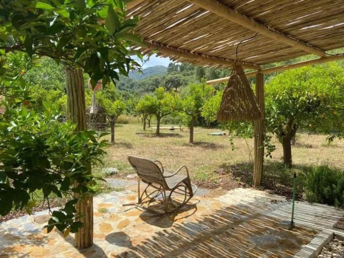 Image No.25-Finca de 8 chambres à vendre à Monda