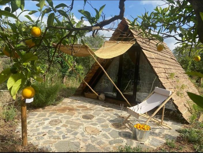 Image No.26-Finca de 8 chambres à vendre à Monda