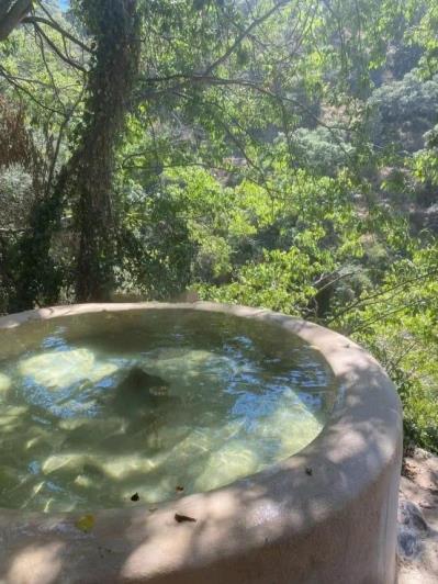 Image No.29-Finca de 8 chambres à vendre à Monda