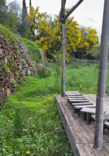 Image No.31-Finca de 8 chambres à vendre à Monda