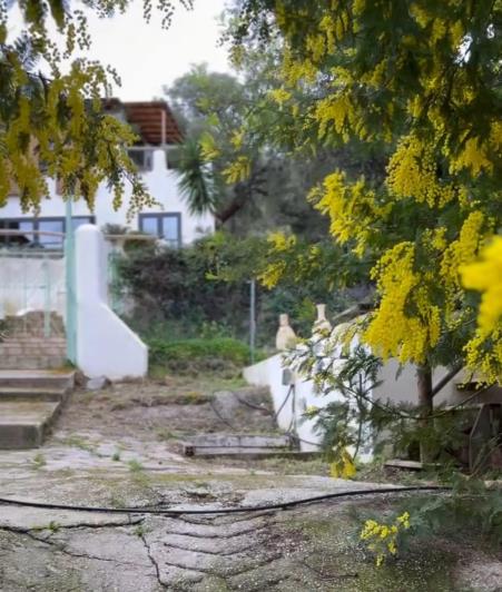 Image No.32-Finca de 8 chambres à vendre à Monda