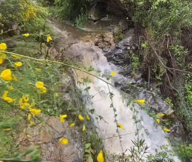 Image No.33-Finca de 8 chambres à vendre à Monda