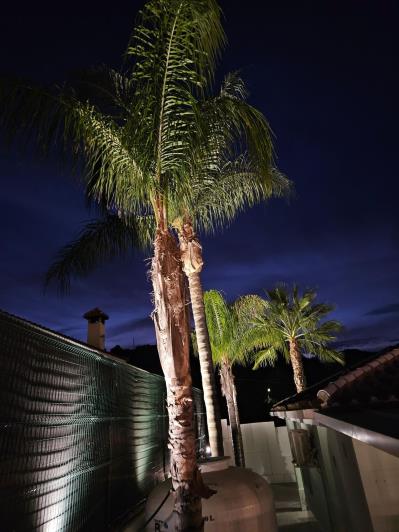 Image No.35-Villa de 2 chambres à vendre à Coin