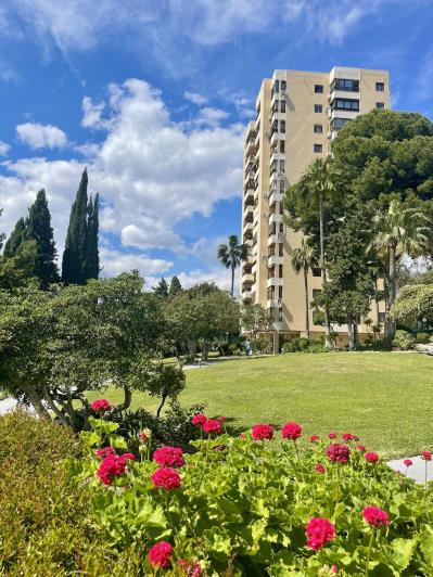 Image No.16-Studio for sale