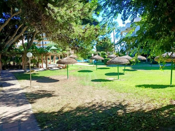 Image No.41-Studio for sale