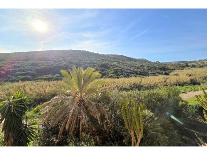 Image No.19-Appartement de 2 chambres à vendre à La Duquesa