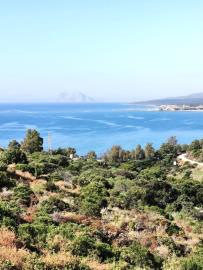 1-7020804132f1cd48fa7d0a6cde6ac64b