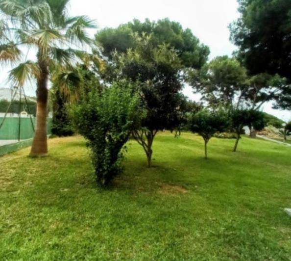 Image No.22-Studio for sale