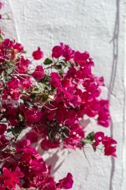 3-e898b2bb2a2fdfd06d2c39894dce8316