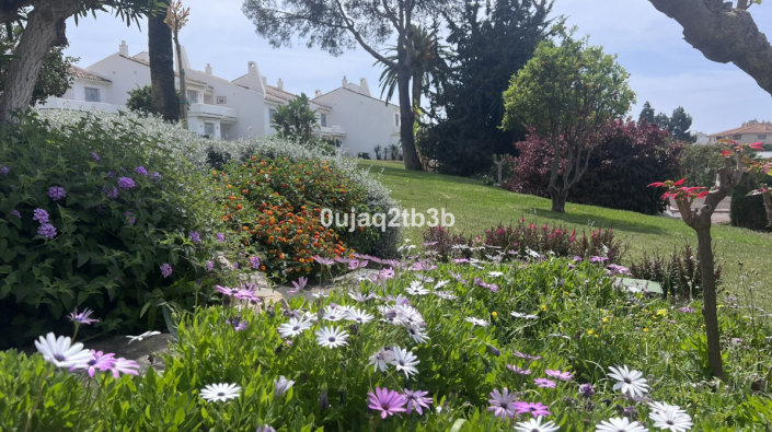 Image No.8-4 Bed Duplex for sale