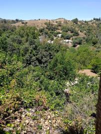 3-e898b2bb2a2fdfd06d2c39894dce8316