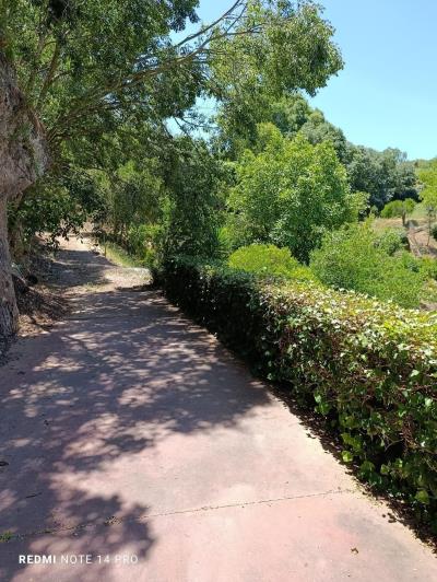 Image No.43-5 Bed Villa for sale