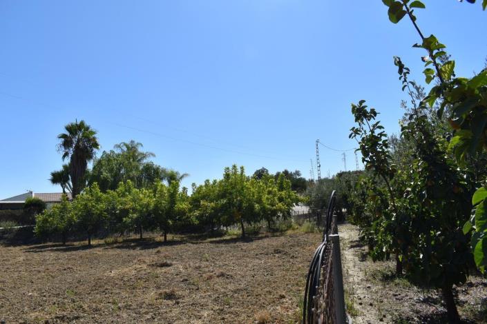 Image No.20-2 Bed Finca for sale