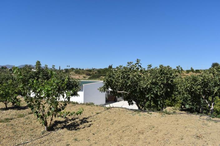 Image No.30-2 Bed Finca for sale