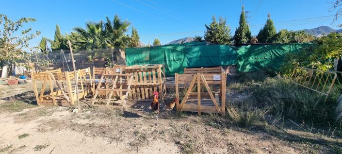 Image No.12-3 Bed Finca for sale