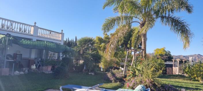 Image No.23-3 Bed Finca for sale