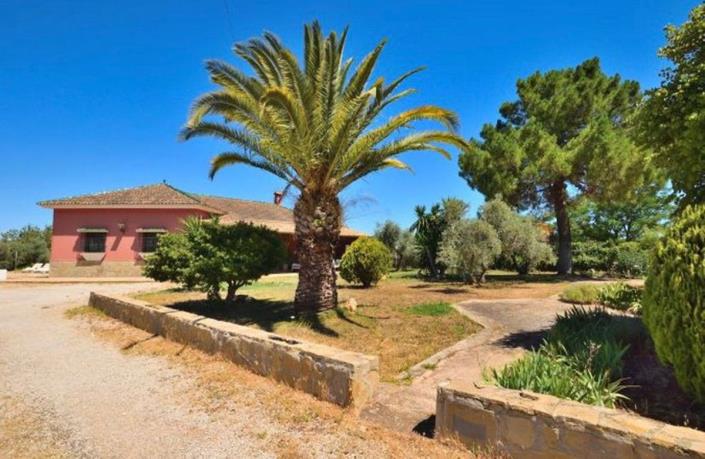 Image No.3-3 Bed Finca for sale