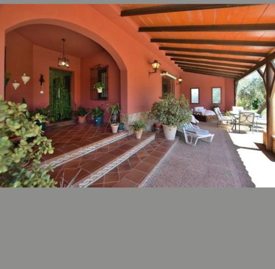 Image No.8-3 Bed Finca for sale