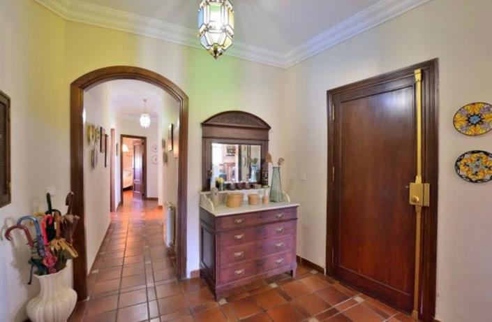 Image No.19-3 Bed Finca for sale