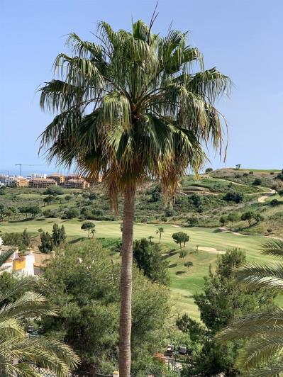 Image No.5-3 Bed Penthouse for sale