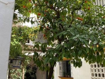 15-11d12f2f454f2f5e9b981fdd8b901d51