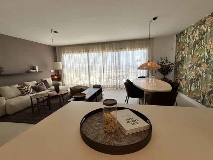 Image No.11-3 Bed Penthouse for sale