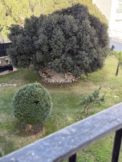 Image No.35-1 Bed Apartment for sale