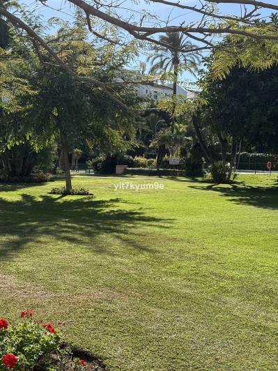 Image No.43-1 Bed Apartment for sale