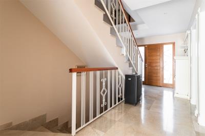 12-53013098fcab6c38b1379cd33298e050