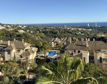 1-7980e48d732b6fc85c14b43b94d2aa54