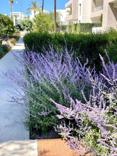 Image No.11-Appartement de 2 chambres à vendre à Cancelada