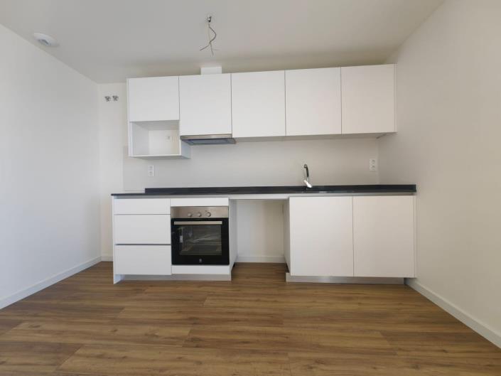 Image No.10-2 Bed Penthouse for sale