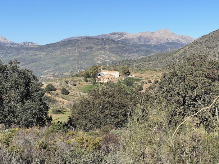 Image No.25-Finca de 5 chambres à vendre à Casabermeja