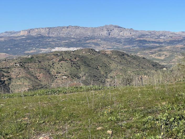 Image No.26-Finca de 5 chambres à vendre à Casabermeja