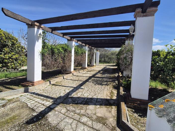 Image No.4-3 Bed Finca for sale