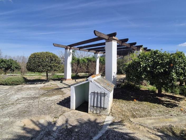Image No.40-3 Bed Finca for sale