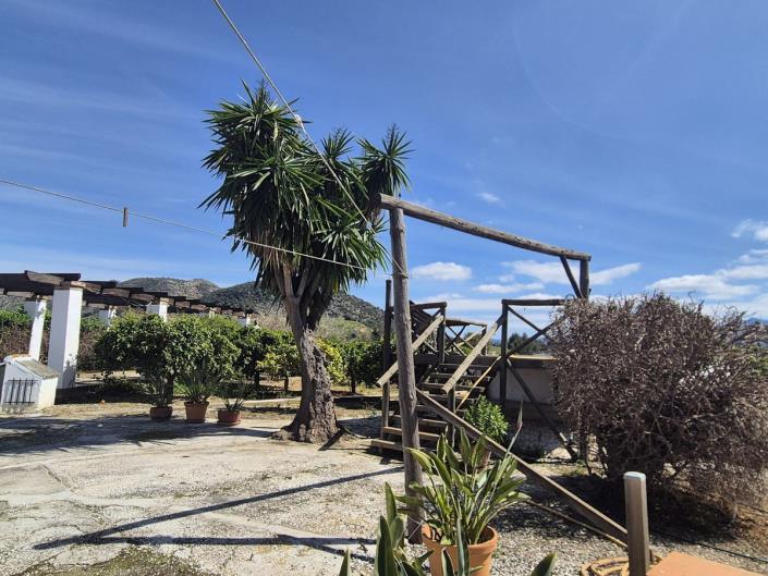 Image No.42-3 Bed Finca for sale