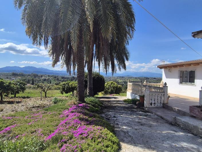 Image No.44-3 Bed Finca for sale