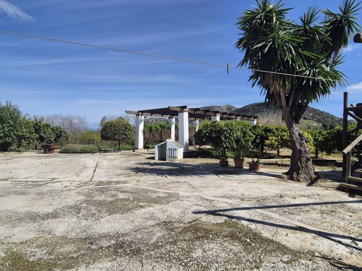 Image No.43-3 Bed Finca for sale