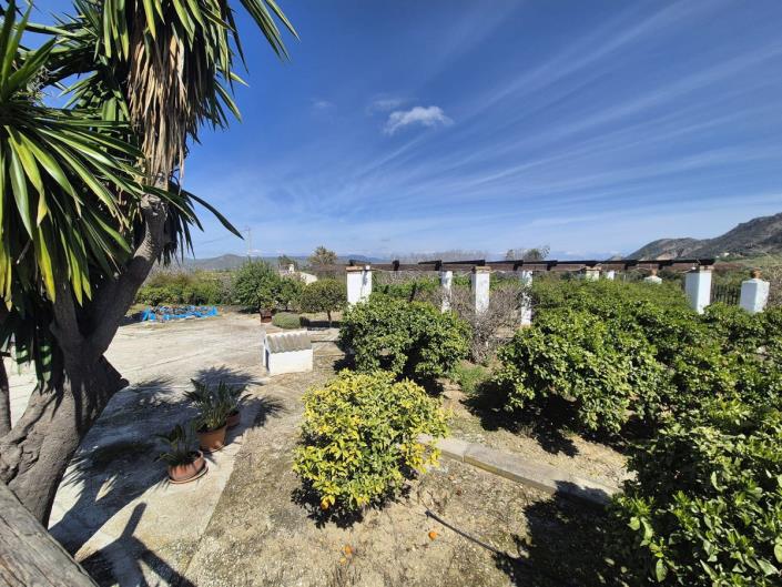 Image No.45-3 Bed Finca for sale