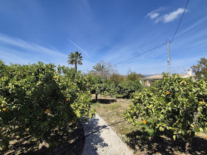 Image No.48-3 Bed Finca for sale