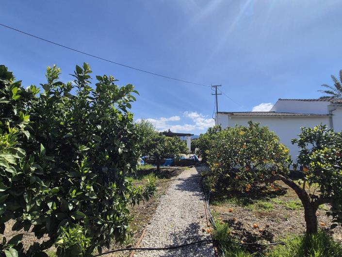 Image No.50-3 Bed Finca for sale