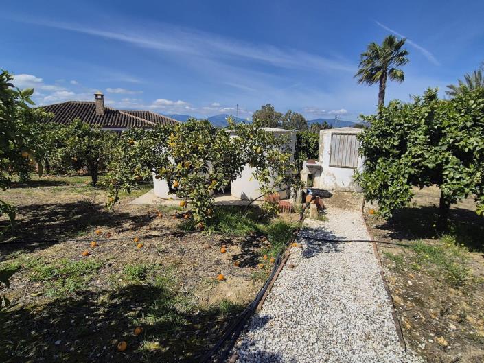 Image No.49-3 Bed Finca for sale