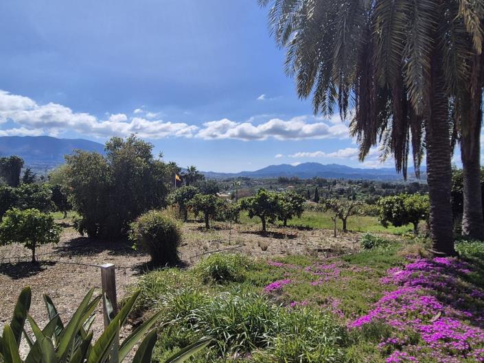 Image No.54-3 Bed Finca for sale