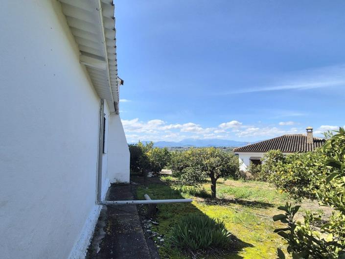 Image No.53-3 Bed Finca for sale